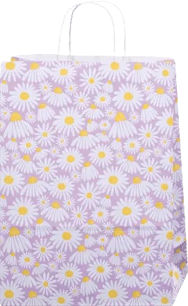 Poklon vrećica maxi, više vrsta Profissimo