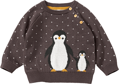 Pullover aus Strick mit Raglan-Ärmeln & Pinguin-Motiv, grau, Gr. 86 ALANA