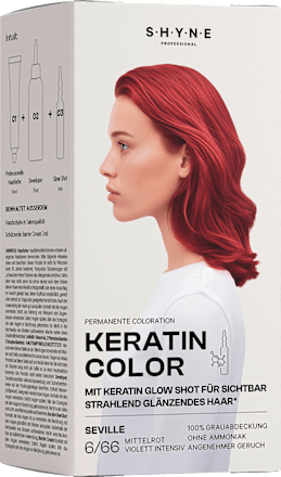 Haarfarbe 6/66 Seville Mittelrot Violett Intensiv SHYNE Professional