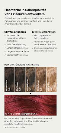 Haarfarbe 6/66 Seville Mittelrot Violett Intensiv SHYNE Professional