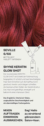 Haarfarbe 6/66 Seville Mittelrot Violett Intensiv SHYNE Professional