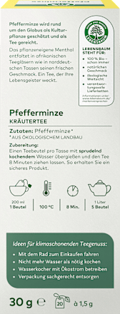 Kräutertee Pfefferminze LEBENSBAUM