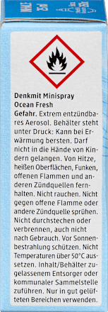 Lufterfrischer Minispray Nachfüllpack Ocean Fresh Denkmit