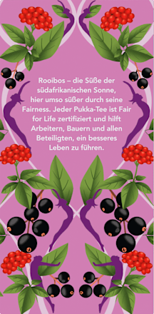 Kräutertee Morning Berry (20x1,7g) pukka