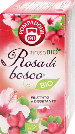 Rosa di bosco POMPADOUR