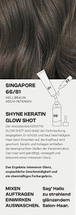 Haarfarbe 66/81 Singapore Hellbraun Asch-Intensiv SHYNE Professional