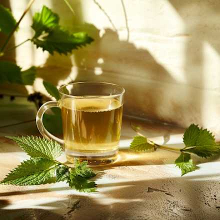 Kräutertee Brennnessel (20 Beutel) dmBio