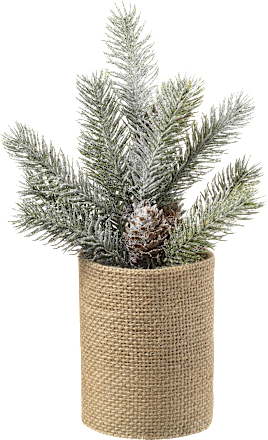 Tannenbaum im Jutetopf mit Zapfen Dekorieren & Einrichten
