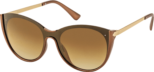Ženska sončna očala 479, rjava sundance