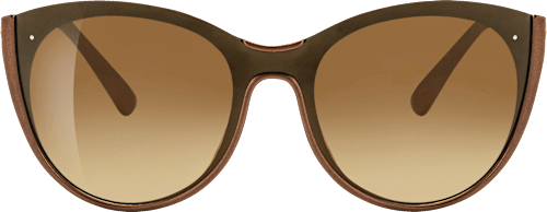 Ženska sončna očala 479, rjava sundance