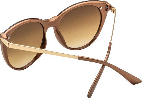 Ženska sončna očala 479, rjava sundance