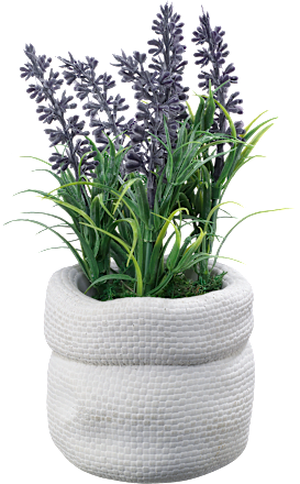 Lavendel im Zementtopf Dekorieren & Einrichten