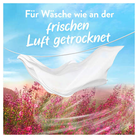 Weichspüler Luftfrisch Wildblumenfeld Lenor