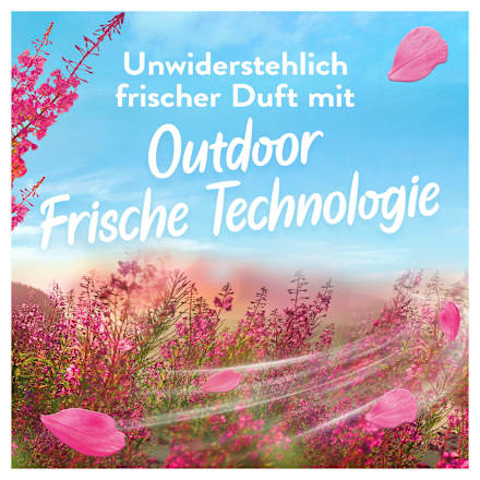 Weichspüler Luftfrisch Wildblumenfeld Lenor