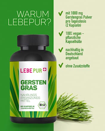 Gerstengras Lebepur