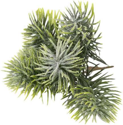 Pik borovine – zeleni sa snježnim efektom Ira Commerce