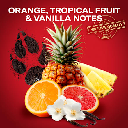 dárková sada Wolfthorn Old Spice