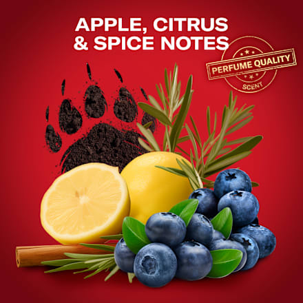 dárková sada Bearglove Old Spice