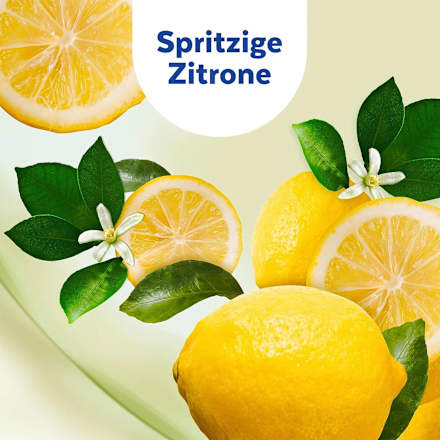 Feuchte Bodentücher spritzige Zitrone Sagrotan