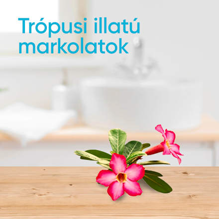 Eldobható női borotva, tropical Gillette Venus