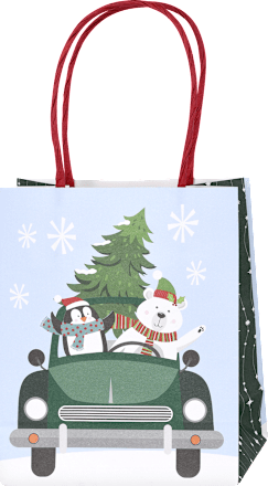 Poklon vrećice – mini, više vrsta Profissimo