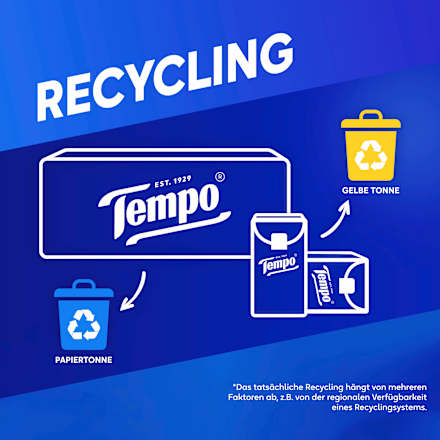 Taschentücher (15x10 St) Tempo