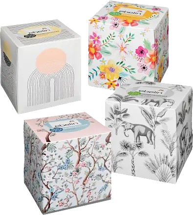 Şerveţele la cutie diverse variante ebelin