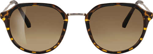 Slnečné okuliare pre dospelých - hnedé SUNDANCE