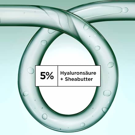 Shampoo Locken Methode Feuchtigkeit  GARNIER FRUCTIS