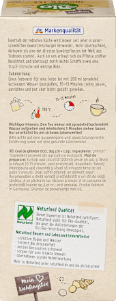 Infuso bio allo zenzero dmBio