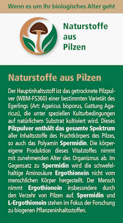 Lonjevity 1 Zellschutz Kapseln 120 St Madaus & Lauscher