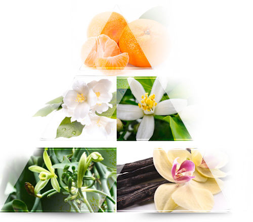 Eau de Parfum Charisme LA RIVE