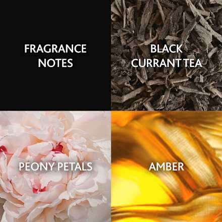 Signature Eau de Parfum Christina Aguilera