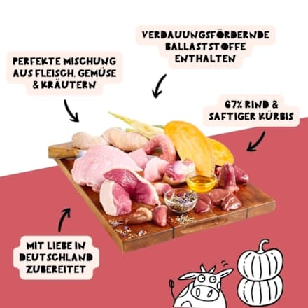 Nassfutter Hund mit Rind & Kürbis, Guadn! DOGS'n TIGER