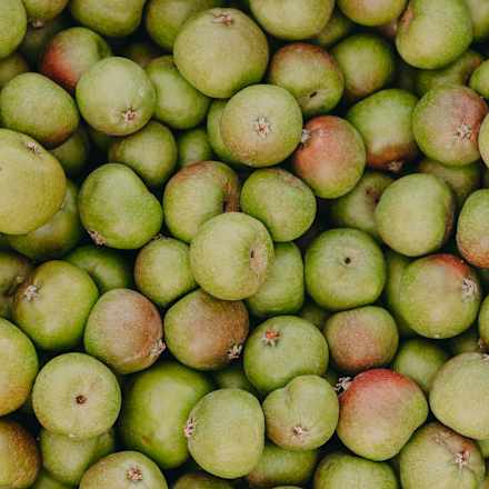 Shampoo Anti-Pollution mit Schweizer Apfel RAUSCH