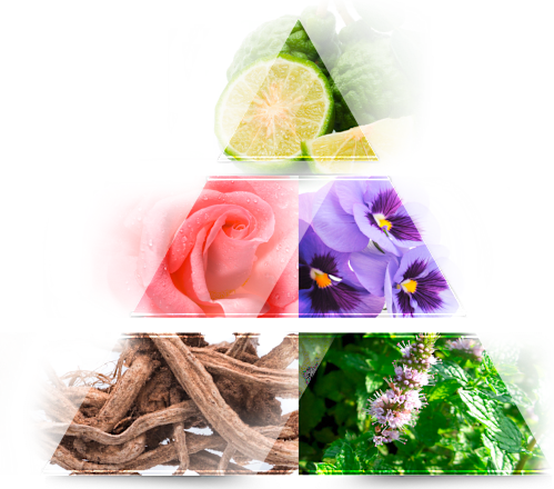 Eau de Toilette Extreme Story LA RIVE