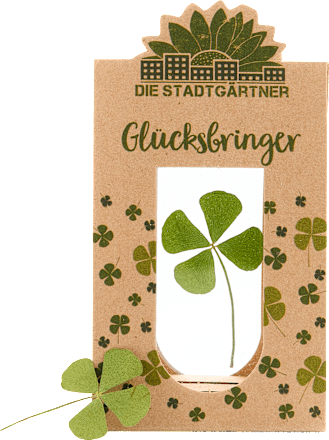 Glücksbringer Kleeblatt Die Stadtgärtner