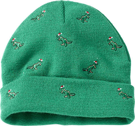 Mütze aus Strick mit Weihnachts-Dino-Muster, grün, Gr. 54/55 PUSBLU