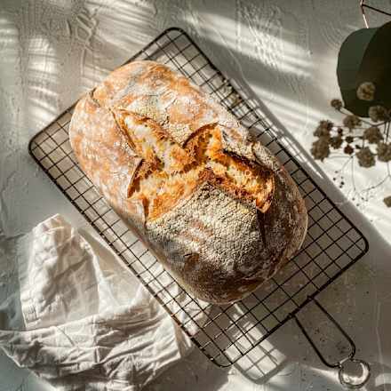 Weizenmehl Vollkorn dmBio