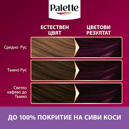 Боя за коса - Nr. 4-99 (880) Патладжан Palette DELUXE