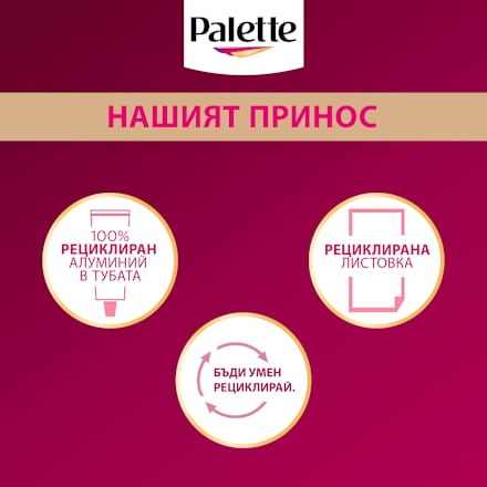 Боя за коса - Nr. 5-88 (679)  Palette DELUXE