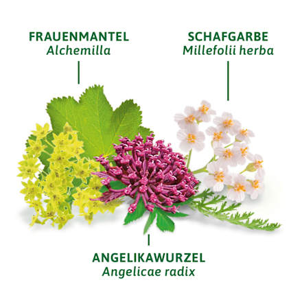 Kräutertee "Menstruations Tee" (8 Beutel) Bad Heilbrunner