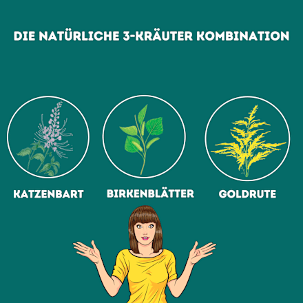 TAD Harntee Aufgusspulver TAD Pharma