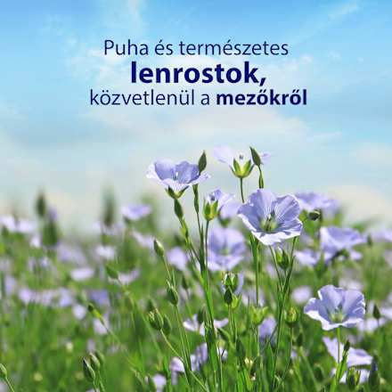 Nedves Toalettpapír Sensitive ZEWA