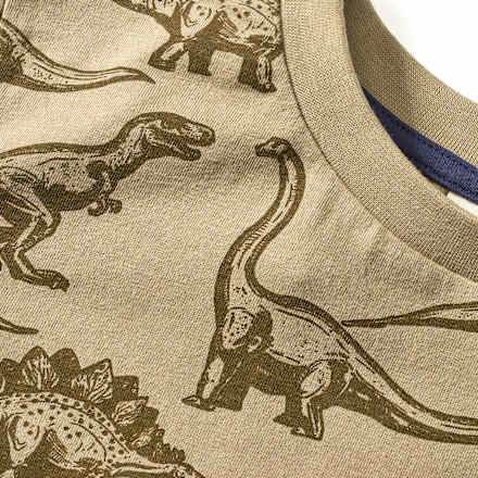 Langarmshirt mit Dino-Muster, braun, Gr. 110 ALANA