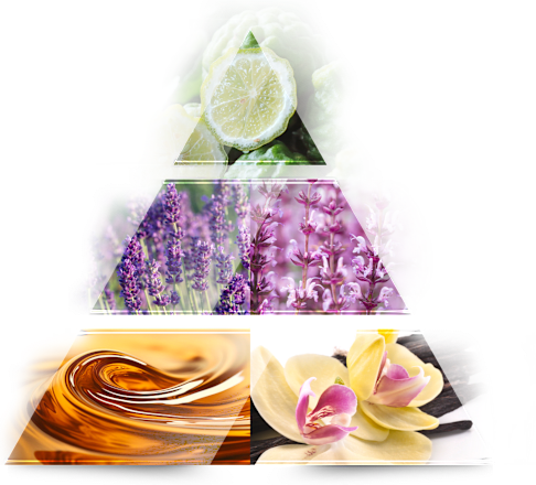 Eau de Parfum Bright Tobacco Lou de Pre