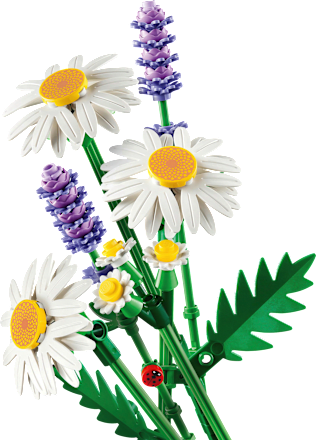 Botanicals Gänseblümchen-Set Lego