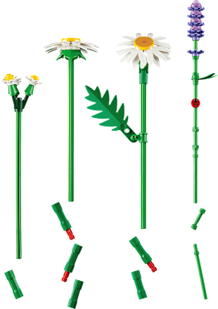 Botanicals Gänseblümchen-Set Lego