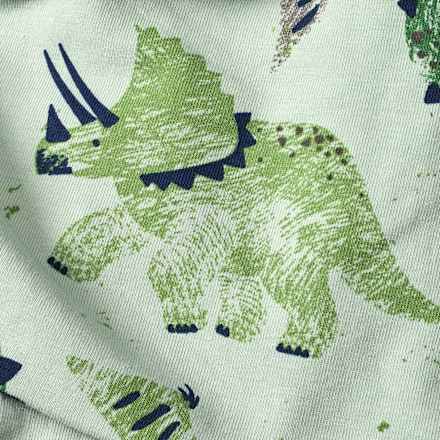 Mütze Pro Climate mit Dino-Muster, grün, Gr. 54/55 ALANA