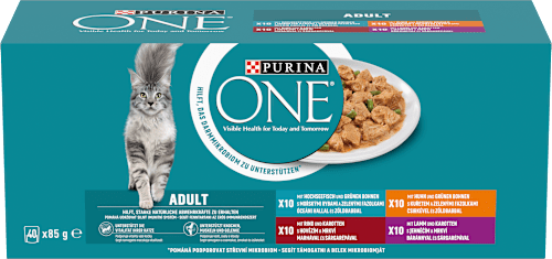 kapsičky pro kočky Mini filetky ve šťávě 40x85g, Multipack PURINA ONE